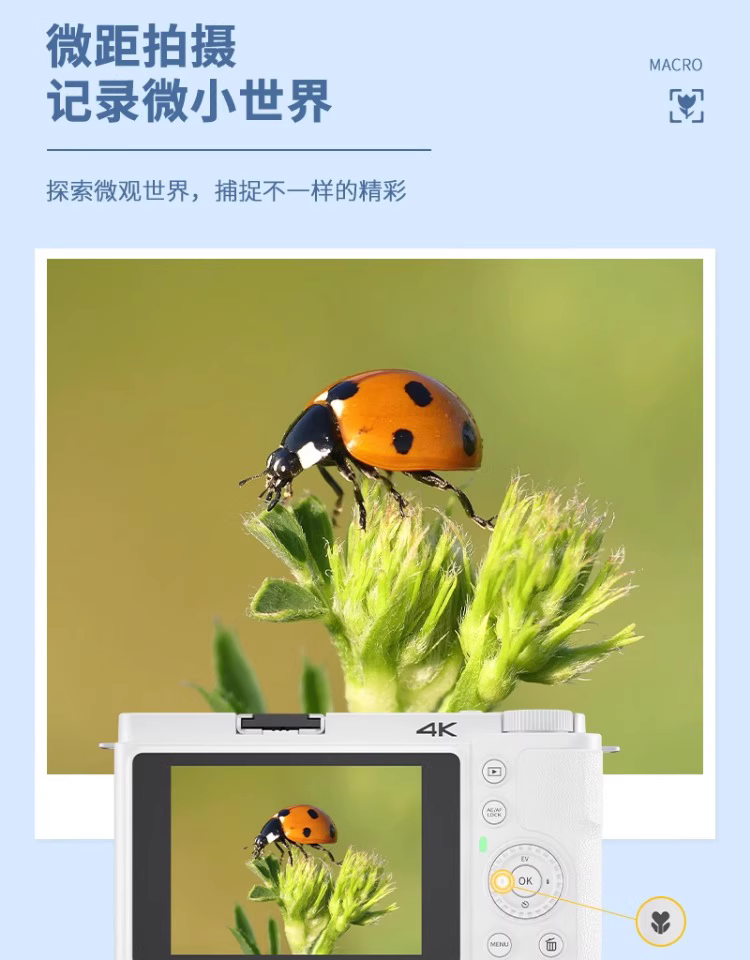 dfc8a4df57404a07f04af3982c625f0e_O1CN01qIwInF1XPZwbmThzk_!!2214490392916.jpg